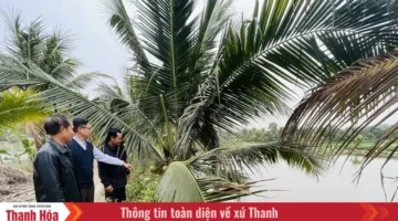 آليات جديدة لتعزيز الدور الريادي لأعضاء الحزب في المرحلة المقبلة